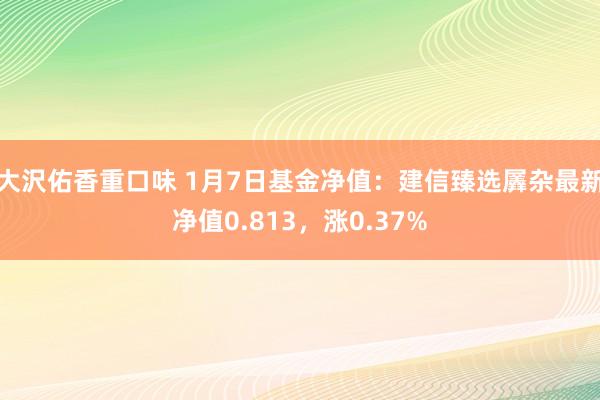 大沢佑香重口味 1月7日基金净值：建信臻选羼杂最新净值0.813，涨0.37%