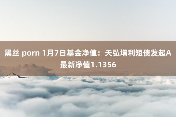 黑丝 porn 1月7日基金净值：天弘增利短债发起A最新净值1.1356