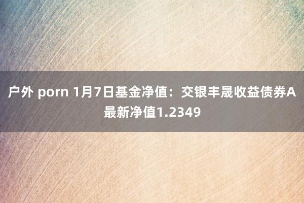 户外 porn 1月7日基金净值：交银丰晟收益债券A最新净值1.2349
