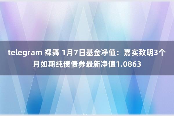 telegram 裸舞 1月7日基金净值：嘉实致明3个月如期纯债债券最新净值1.0863