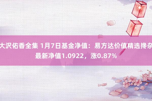 大沢佑香全集 1月7日基金净值：易方达价值精选搀杂最新净值1.0922，涨0.87%