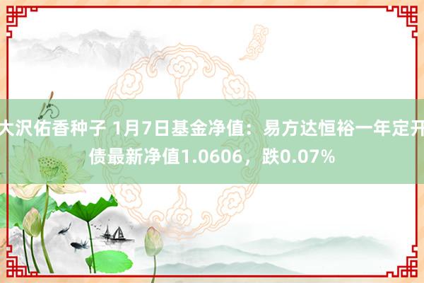 大沢佑香种子 1月7日基金净值：易方达恒裕一年定开债最新净值1.0606，跌0.07%