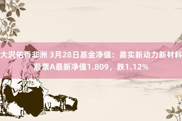 大沢佑香非洲 3月28日基金净值：嘉实新动力新材料股票A最新净值1.809，跌1.12%