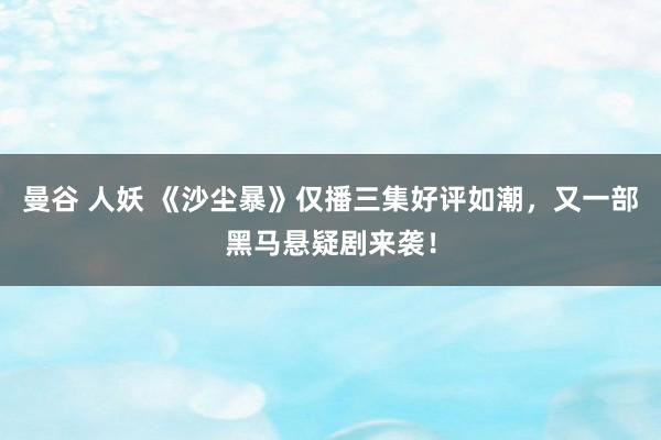 曼谷 人妖 《沙尘暴》仅播三集好评如潮，又一部黑马悬疑剧来袭！