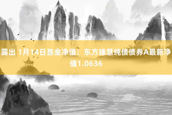 露出 1月14日基金净值：东方臻慧纯债债券A最新净值1.0636