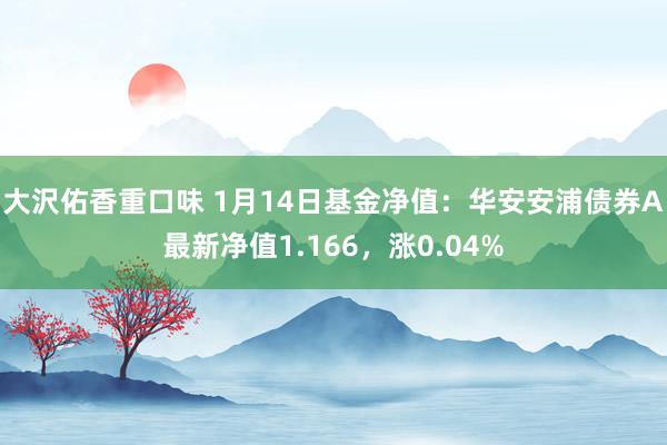 大沢佑香重口味 1月14日基金净值：华安安浦债券A最新净值1.166，涨0.04%