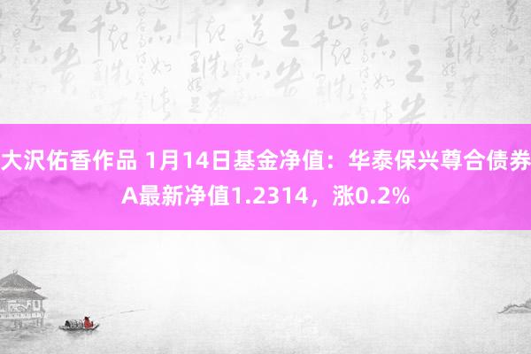大沢佑香作品 1月14日基金净值：华泰保兴尊合债券A最新净值1.2314，涨0.2%