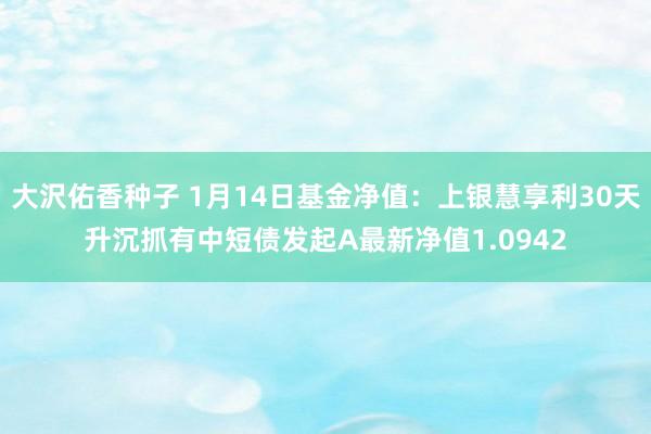 大沢佑香种子 1月14日基金净值：上银慧享利30天升沉抓有中短债发起A最新净值1.0942