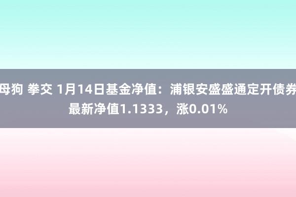 母狗 拳交 1月14日基金净值：浦银安盛盛通定开债券最新净值1.1333，涨0.01%