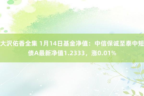 大沢佑香全集 1月14日基金净值：中信保诚至泰中短债A最新净值1.2333，涨0.01%