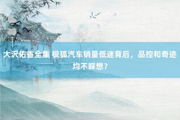 大沢佑香全集 极狐汽车销量低迷背后，品控和奇迹均不睬想？