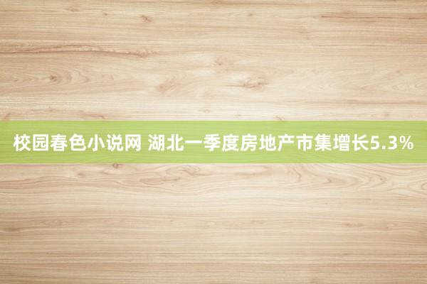 校园春色小说网 湖北一季度房地产市集增长5.3%