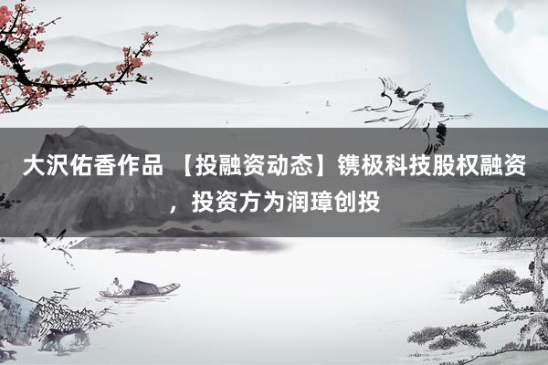大沢佑香作品 【投融资动态】镌极科技股权融资，投资方为润璋创投