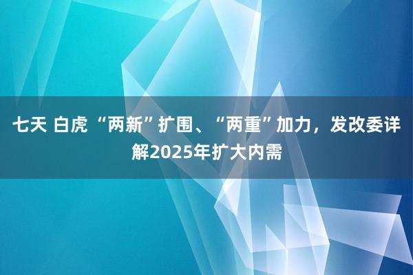 七天 白虎 “两新”扩围、“两重”加力，发改委详解2025年扩大内需