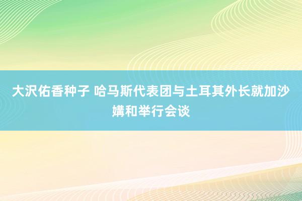 大沢佑香种子 哈马斯代表团与土耳其外长就加沙媾和举行会谈