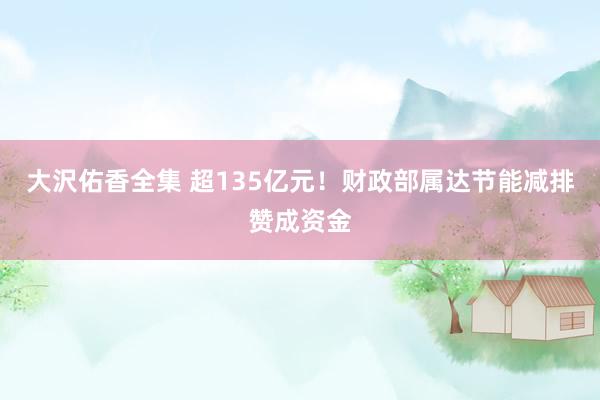 大沢佑香全集 超135亿元！财政部属达节能减排赞成资金