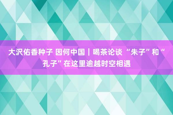 大沢佑香种子 因何中国｜喝茶论谈 “朱子”和“孔子”在这里逾越时空相遇