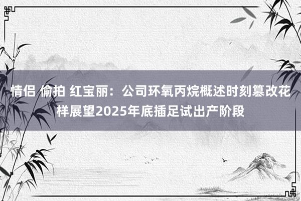 情侣 偷拍 红宝丽：公司环氧丙烷概述时刻篡改花样展望2025年底插足试出产阶段
