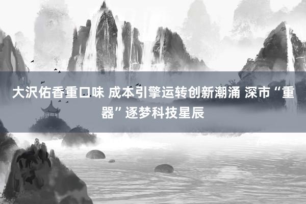大沢佑香重口味 成本引擎运转创新潮涌 深市“重器”逐梦科技星辰