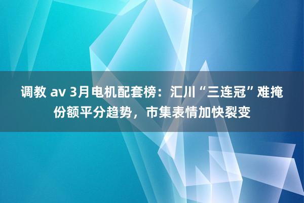 调教 av 3月电机配套榜：汇川“三连冠”难掩份额平分趋势，市集表情加快裂变