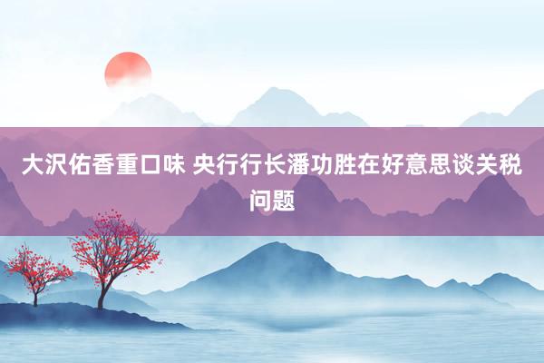 大沢佑香重口味 央行行长潘功胜在好意思谈关税问题